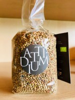 Lenticchie Biologiche 1kg